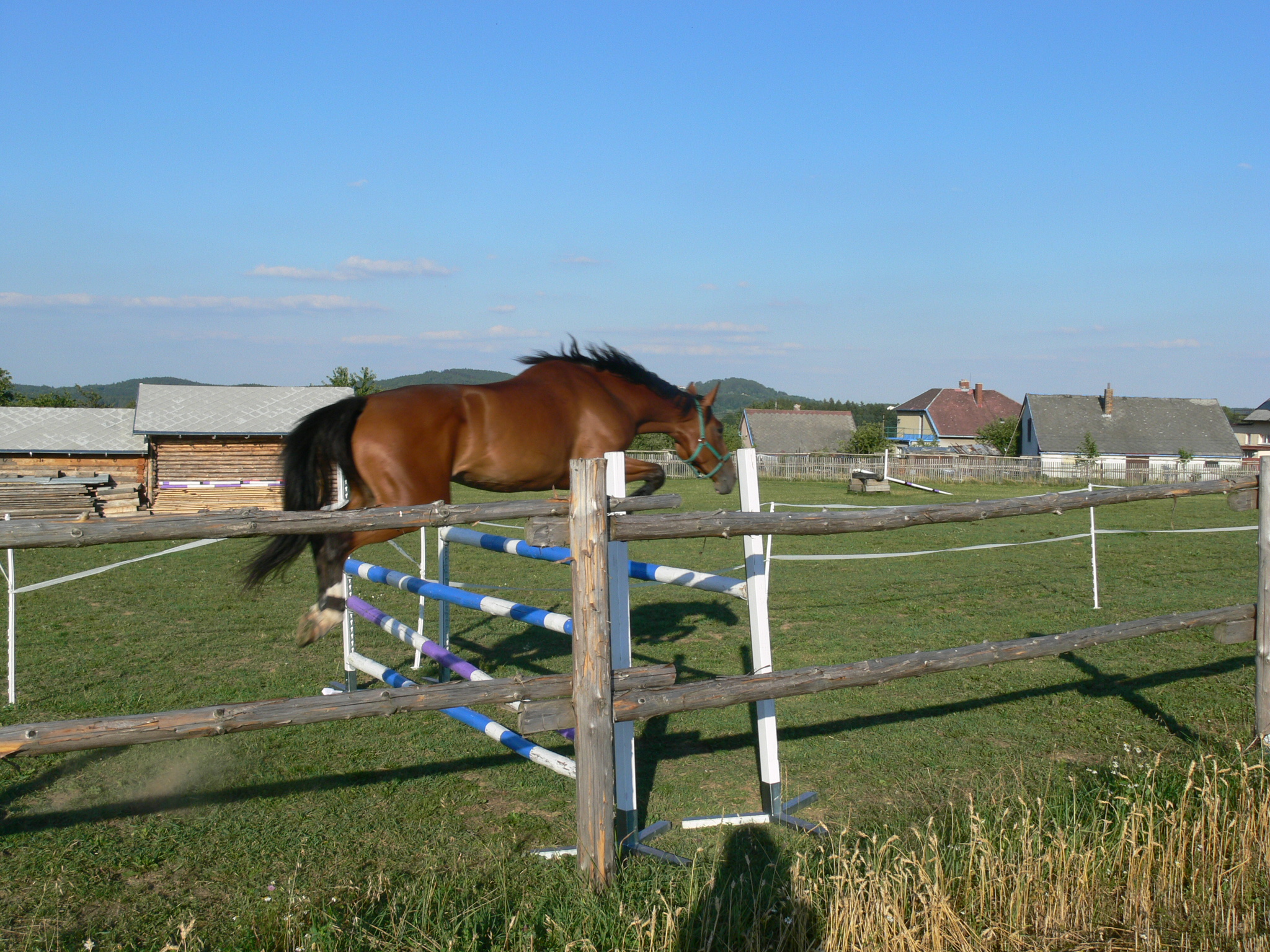 P1070241.JPG